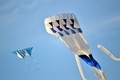 Beautiful blue sky and kites - PhotoDune Item for Sale