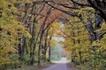 country road on a beautiful fall day - PhotoDune Item for Sale
