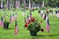 Honoring our veterans on Memorial Day placing flags and flowers at the cemetery grave sight - PhotoDune Item for Sale
