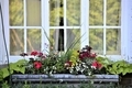 Beautiful flower box with colorful flowers under window  - PhotoDune Item for Sale