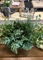 greenery indoor house plants home decor - PhotoDune Item for Sale