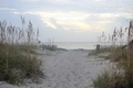 Walkway through sand and sea grasses to Atlantic ocean  - PhotoDune Item for Sale