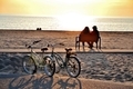Couple sitting on a bench at the beach watching the sunset. - PhotoDune Item for Sale