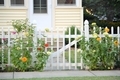 Exterior front house gate inviting entrance with colorful flowers  - PhotoDune Item for Sale