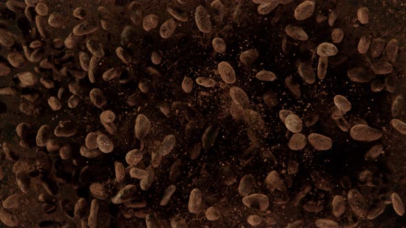 Super Slow Motion Shot of Exploding Raw Chocolate Beans and Cocoa Powder at 1000Fps