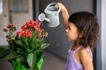 Little girl watering flowers in front of the house  - PhotoDune Item for Sale