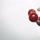 Person Throws Handful of Tasty Cherry Tomatoes Into Water - VideoHive Item for Sale