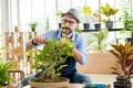 An elderly man handsome with have mustache wearing glasses is happy with tree care. is a hobby  - PhotoDune Item for Sale