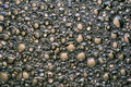 Abstract bubbles formation  - PhotoDune Item for Sale