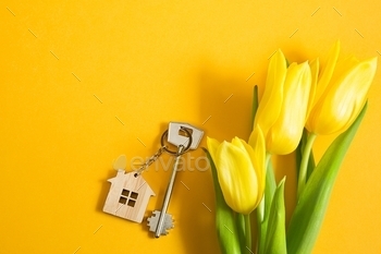 purchase, offer, tulips, spring, summer, construction, agrotourism, background, booking, business, buy, chain, copy space, copyspace, cottage, estate, farm, farmhouse, finance, gift, home, housing, idea, investment, key ring, keychain, loan, lock, message, moving, new house, ownership, project, property, real, relocation, residence, security, space for text, spring offer, tag, tourism, wooden, yellow