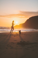 A Girl and Dog playing on the Beach Shore with a Sunset - PhotoDune Item for Sale