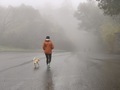 Walk with a dog on a foggy day - PhotoDune Item for Sale