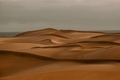 Golden Sand dunes  - PhotoDune Item for Sale