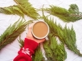 Winter cozy mug of coffee on branches background with hands - PhotoDune Item for Sale