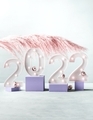 New year 2022 lights numbers with pink pampas branch and golden decor on purple podiums - PhotoDune Item for Sale