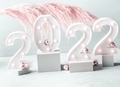 New year 2022 lights numbers with pink pampas branch and golden decor on gray podiums - PhotoDune Item for Sale