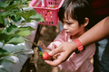 A young kid helping her dad picking fruits at strawberry farm  - PhotoDune Item for Sale
