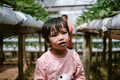A young kid walking around the strawberry farm with her dad - PhotoDune Item for Sale