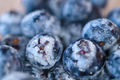Close Up of Blueberries - PhotoDune Item for Sale