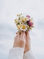 Natural shades. Summer delicate bouquet in the hands of a girl against the sky. - PhotoDune Item for Sale