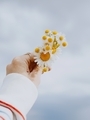 Delicate bouquet of imperfect daisies in hand against the sky. Light and airy  - PhotoDune Item for Sale