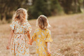 Two little girls walking away holding hands. - PhotoDune Item for Sale