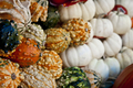 Farmers' Market - PhotoDune Item for Sale