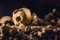 Skull in the Paris catacombs - PhotoDune Item for Sale