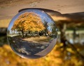 Beautiful yellow Autumn tree reflected in glass lens ball  - PhotoDune Item for Sale