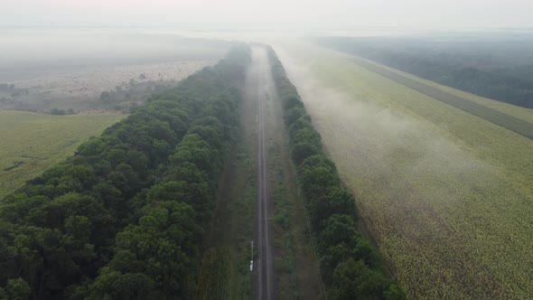 Foggy Morning Natural Landscape Over the Railway Along Forest Plantations and Agricultural Fields