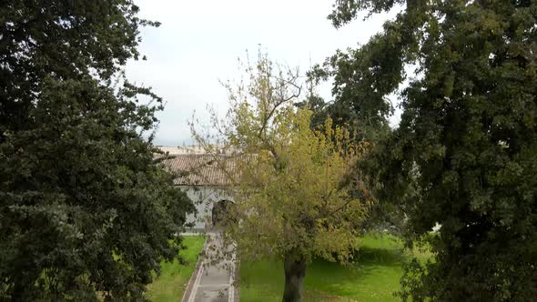 Jib down between the trees and the main site of the Undurraga vineyard, Talagante, Chile