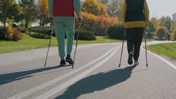 Shot of Legs of Two People Doing Scandinavian Walking in Fall Park Back View