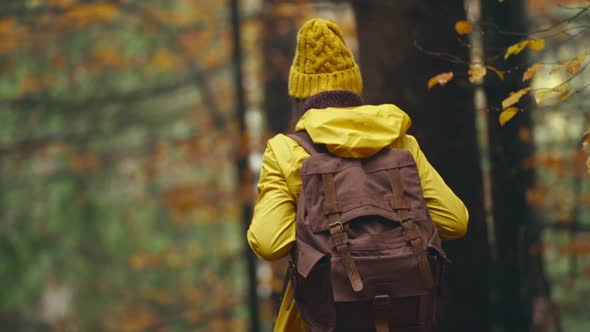 Camera Follows Woman Hiking in Forest in Atumn