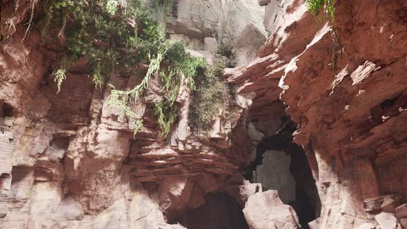 Inside a Limestone Cave with Plants and Sun Shine