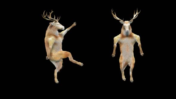 Deer Dancing HD alt