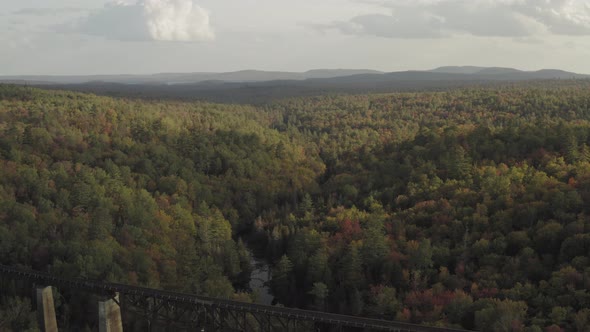 Railroad Trestle in the forest crossing a winding stream with early fall foliage at sunset AERIAL RE