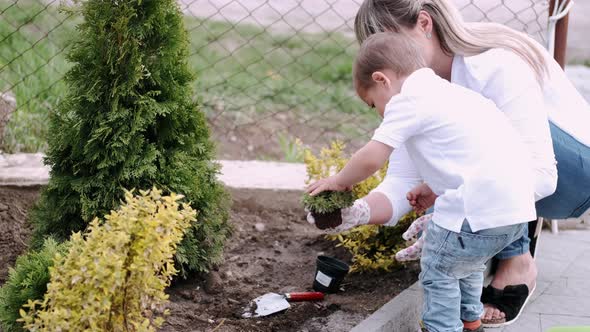 Mother and Little Son Planting Plant Together in Village