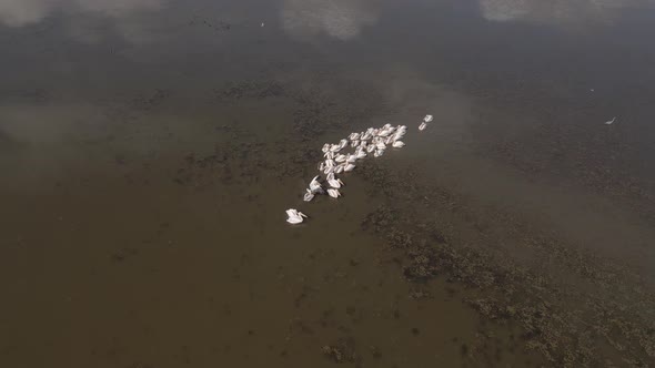 Aerial view of Madatapa lake in Javakheti National park. Georgia