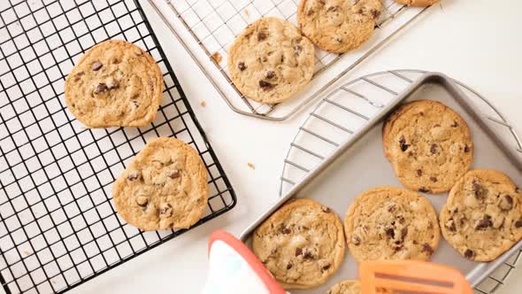 Cooling home made chocolate chip cookies on cooling racks.