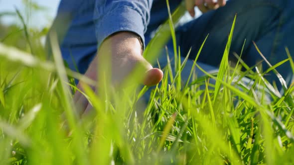 Farmer Businessman Hand Touches Green Grass