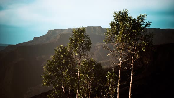 Scenic Landscape with Steep Cliffs and Trees During a Sunny Day