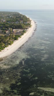 Vertical Video of Low Tide in the Ocean Near the Coast of Zanzibar Tanzania