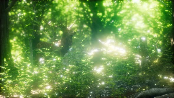 Great Red Deer in a Green Forest alt