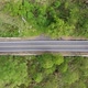 Aerial view of the asphalt road in the middle of the forest around Mount Batur on the island of Bali - VideoHive Item for Sale