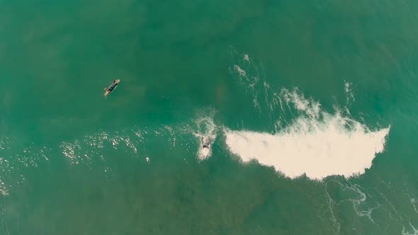 Surfer Catches A Wave