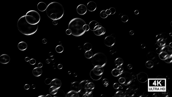 Bubbles Rising 4K