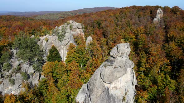 Orbit Aerial Movement of Rocks in Autumn Forest