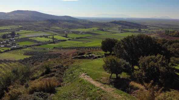 View From Drone Beautiful Green Fields