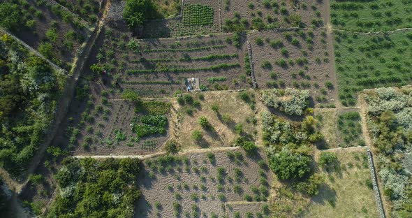 Aerial View of Country Fields in Sicily Rural Scene During Sunset