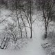 The forest in winter #2 - VideoHive Item for Sale
